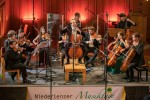 Kammerorchester der Niederlenzer Musiktage