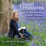 Sarah Beth Briggs: Small Treasures