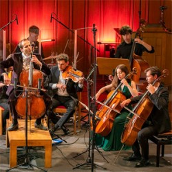 Kammerorchester der Niederlenzer Musiktage | chamber orchestra