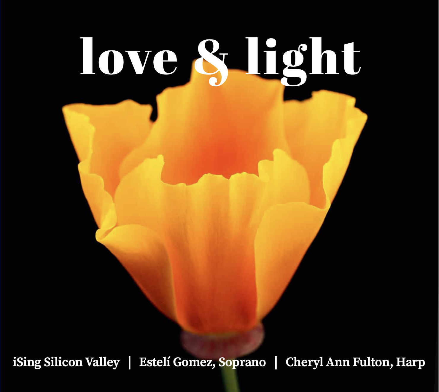 邦楽 Anne LIGHTS Love Song Cover Album Screenshot-2023-01-17-at-21.19