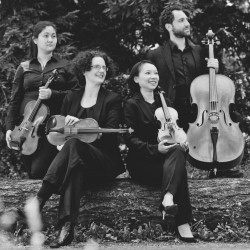 Delgani String Quartet | chamber ensemble