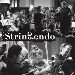 Stringendo Zürich | chamber ensemble